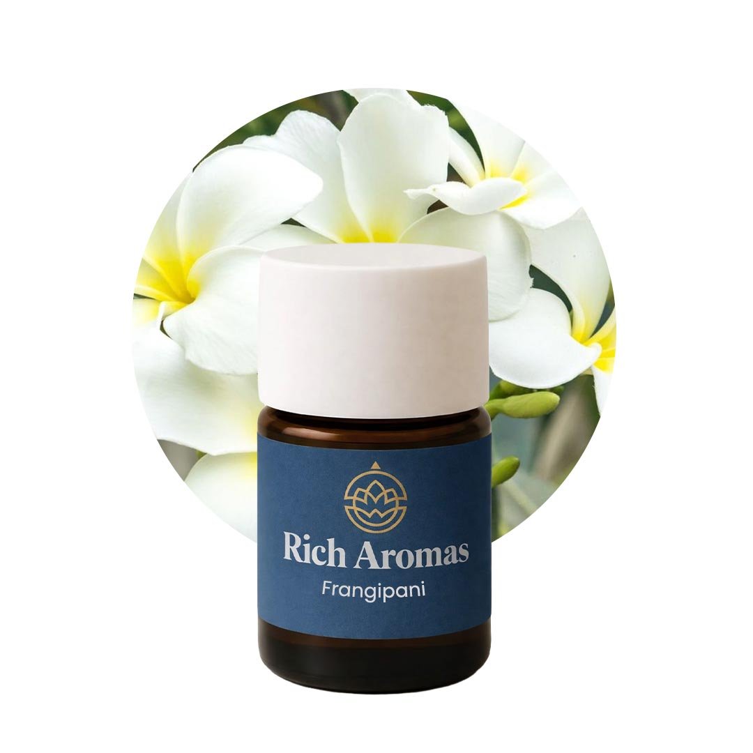 Frangipani